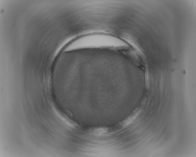 X0000071860156200607211926