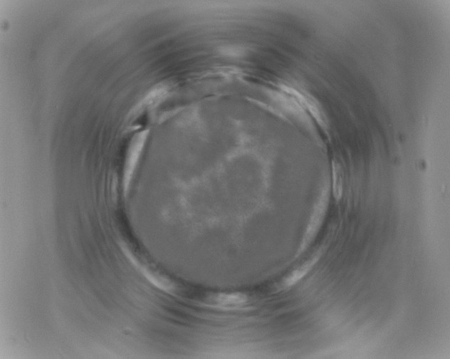 X0000071860157200607211926