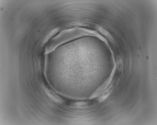 X0000071860158200607211926