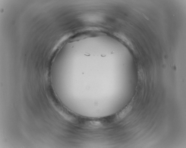 X0000071860159200607211926