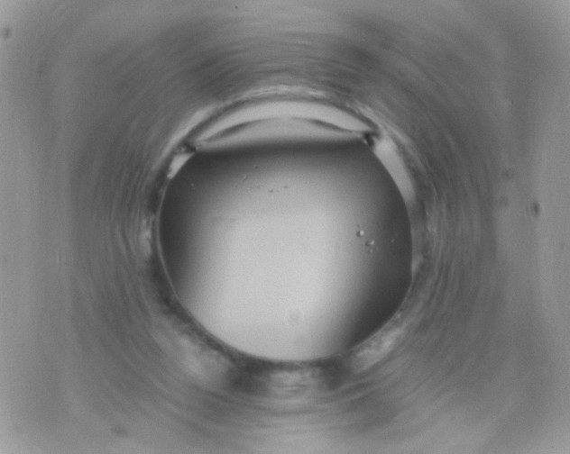 X0000071860160200607211926