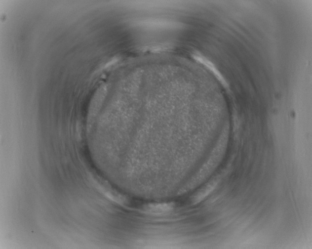 X0000071860161200607211926