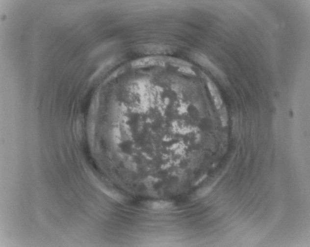 X0000071860165200607211926