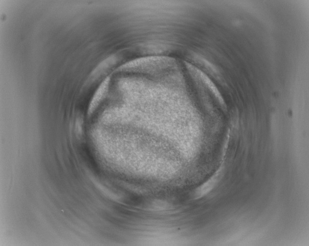 X0000071860166200607211926