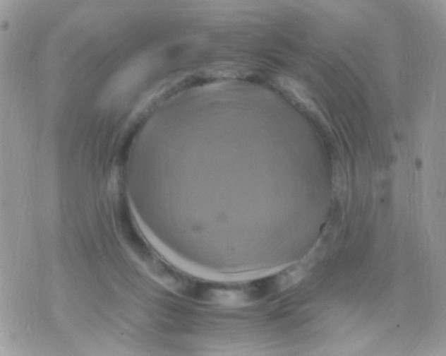 X0000071860167200607211926