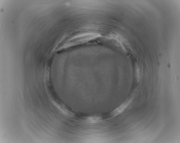 X0000071860168200607211926