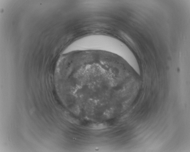 X0000071860169200607211926