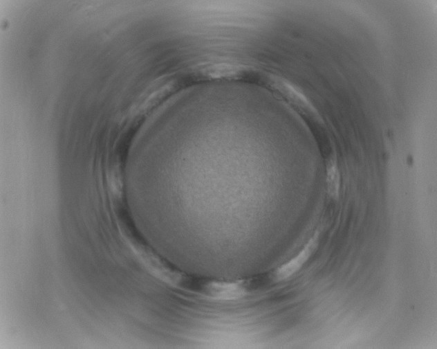 X0000071860170200607211926