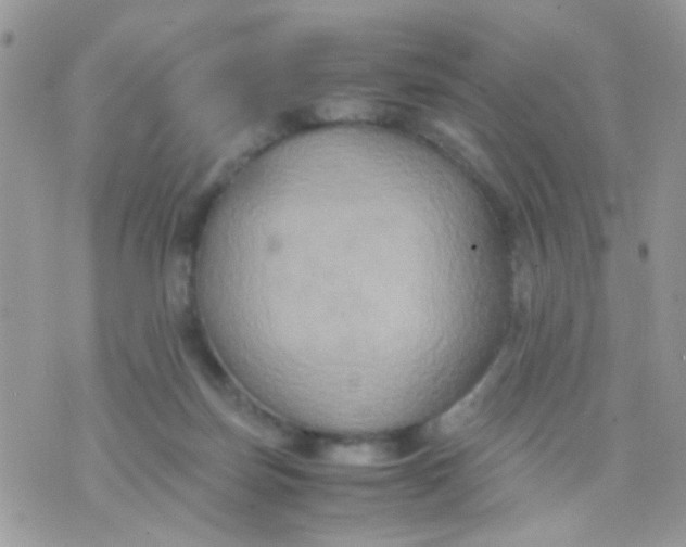 X0000071860171200607211926