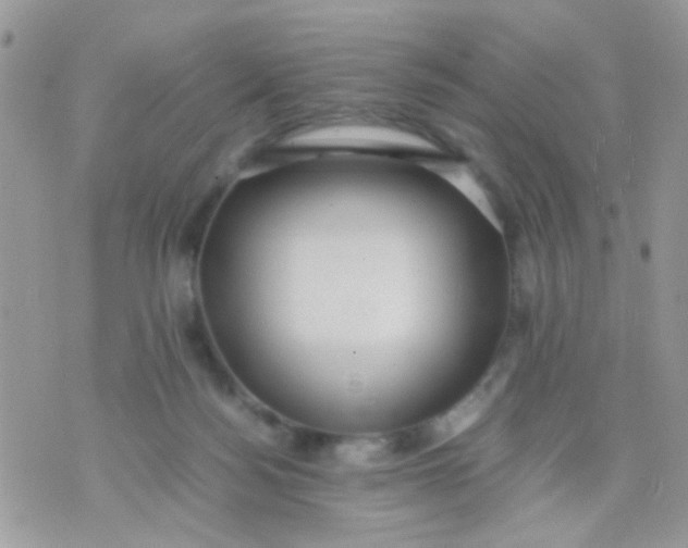 X0000071860172200607211926