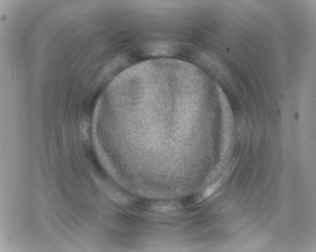 X0000071860175200607211926