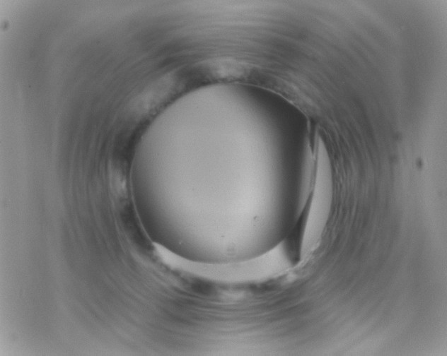 X0000071860176200607211926