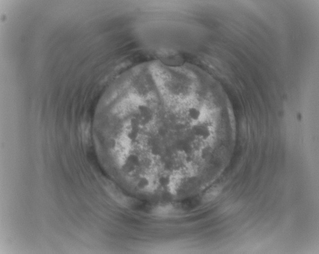 X0000071860177200607211926