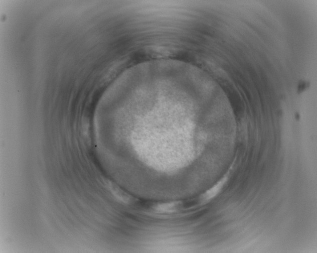 X0000071860178200607211926