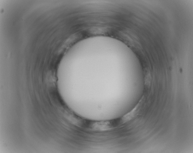 X0000071860179200607211926