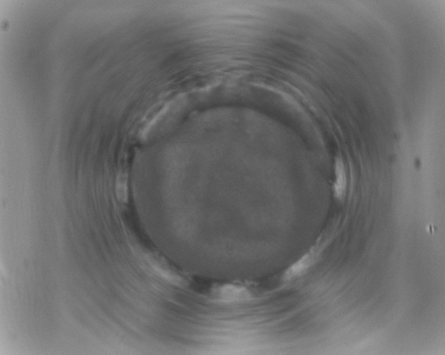 X0000071860180200607211926