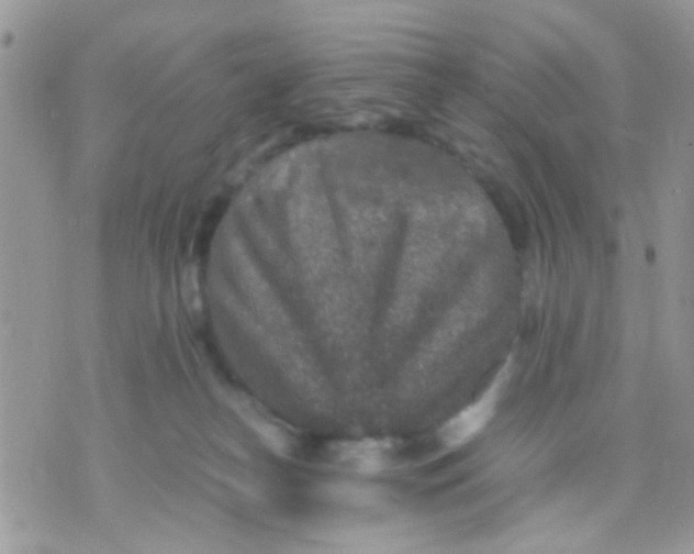 X0000071860182200607211926