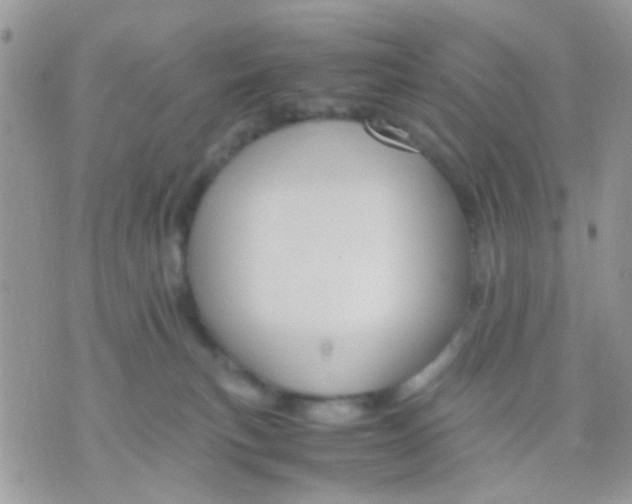 X0000071860183200607211926