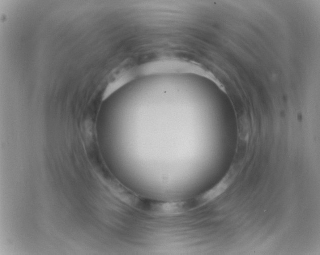 X0000071860184200607211926