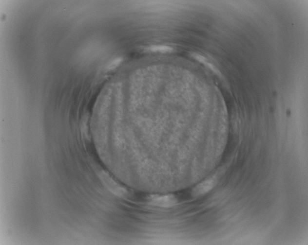 X0000071860185200607211926