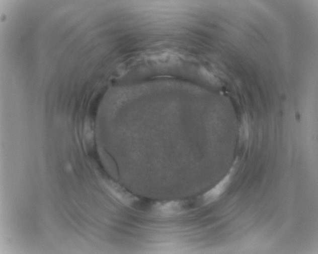 X0000071860186200607211926