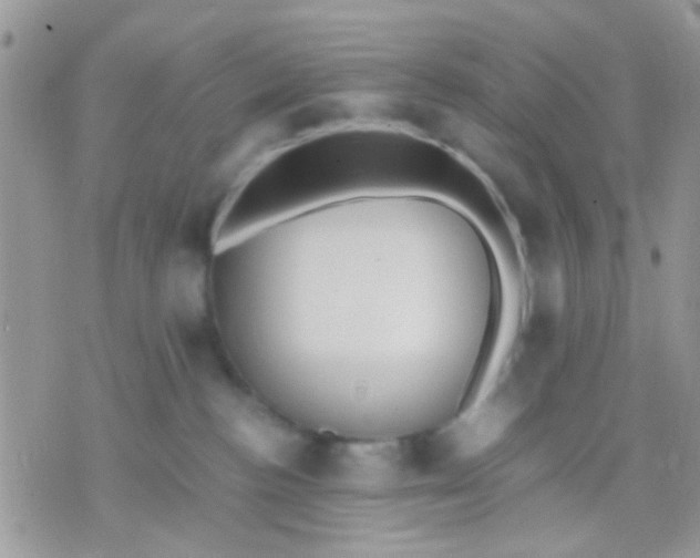 X0000071860188200607211926