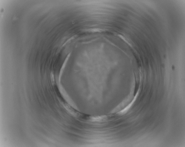 X0000071860190200607211926