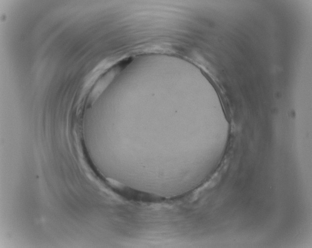 X0000071860193200607211926