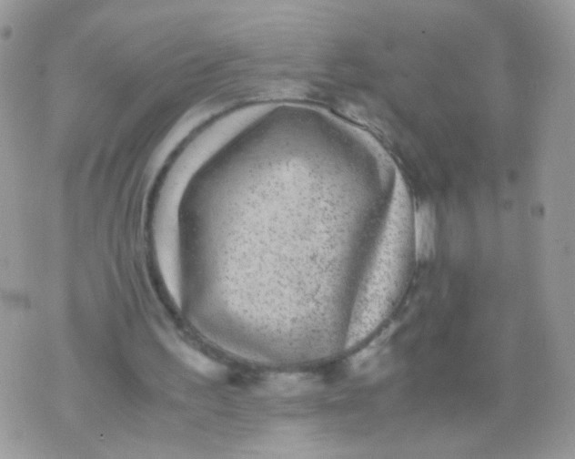 X0000071860195200607211926