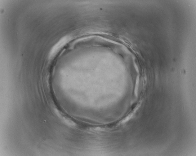 X0000071860197200607211925