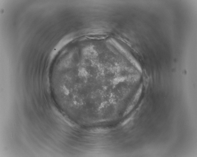 X0000071860198200607211925