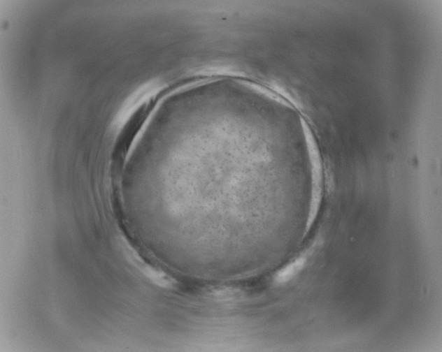 X0000071860199200607211925