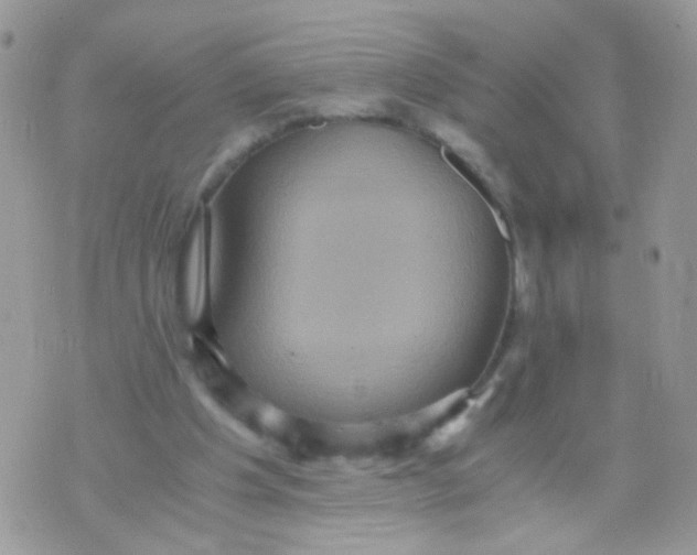 X0000071860201200607211925