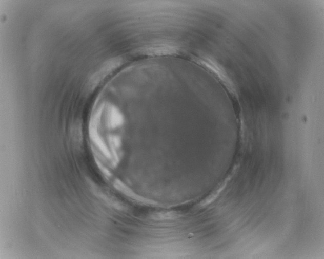 X0000071860202200607211925