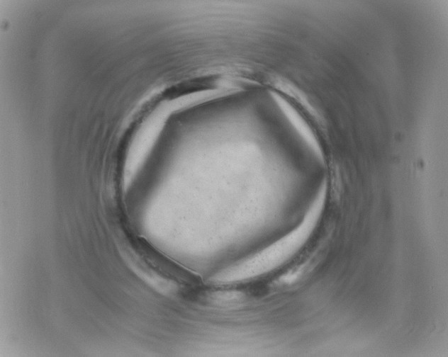 X0000071860203200607211925