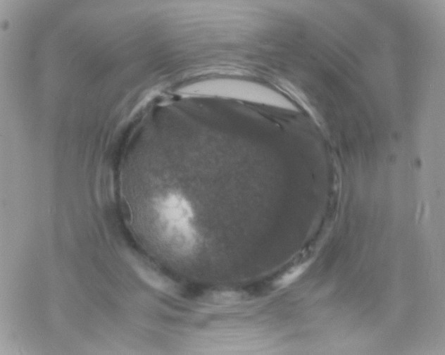 X0000071860205200607211925