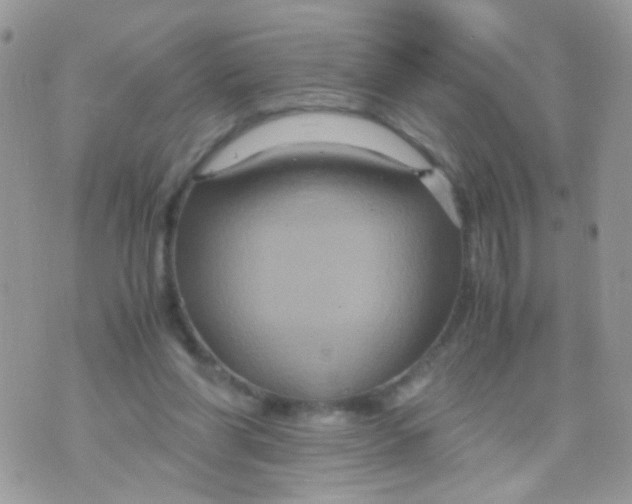 X0000071860206200607211925