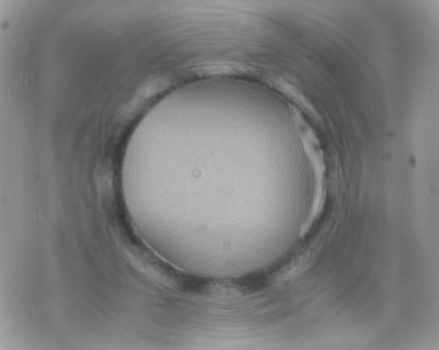 X0000071860207200607211925