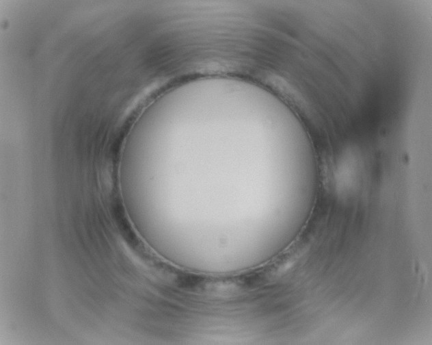 X0000071860208200607211925