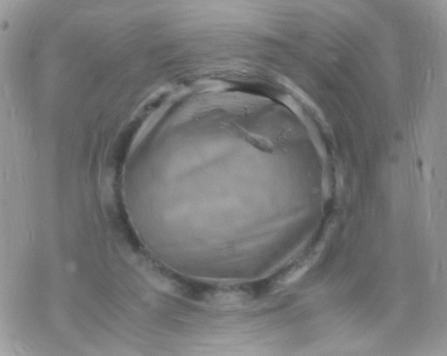 X0000071860209200607211925