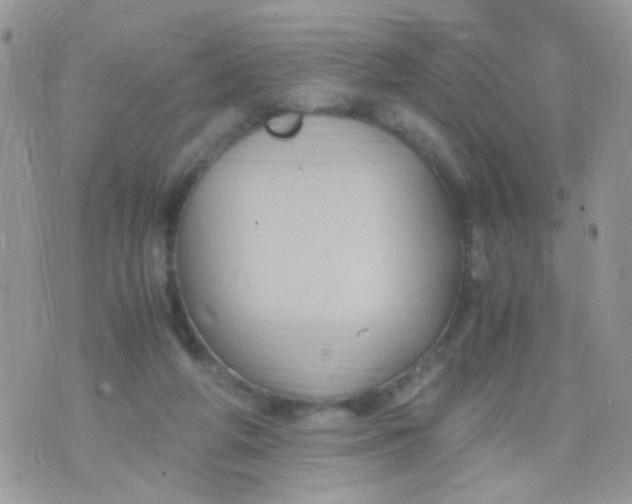 X0000071860210200607211925