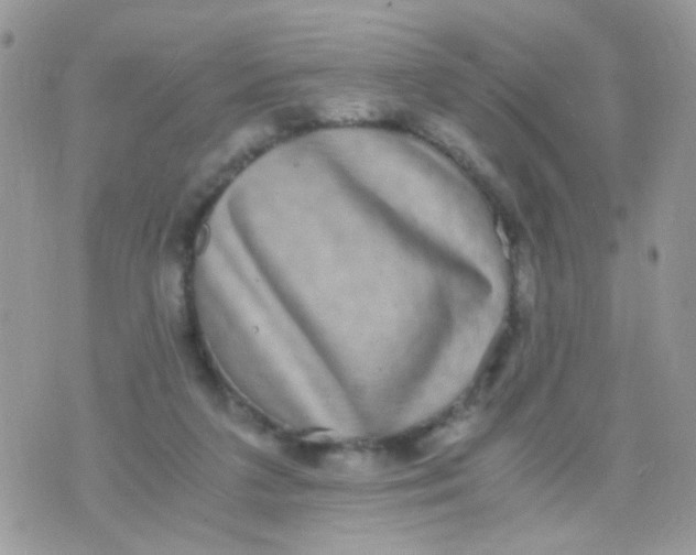 X0000071860211200607211925