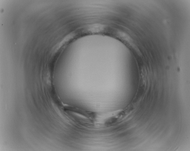 X0000071860212200607211925