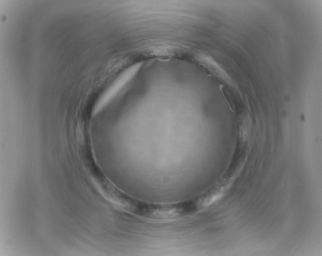 X0000071860213200607211925