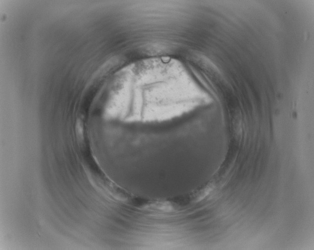 X0000071860214200607211925