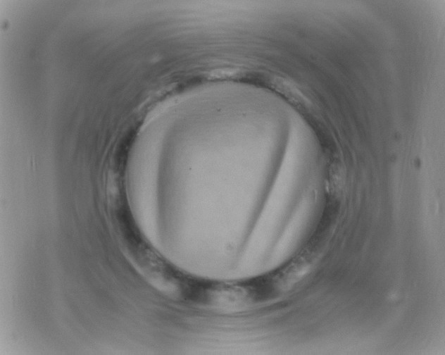 X0000071860215200607211925