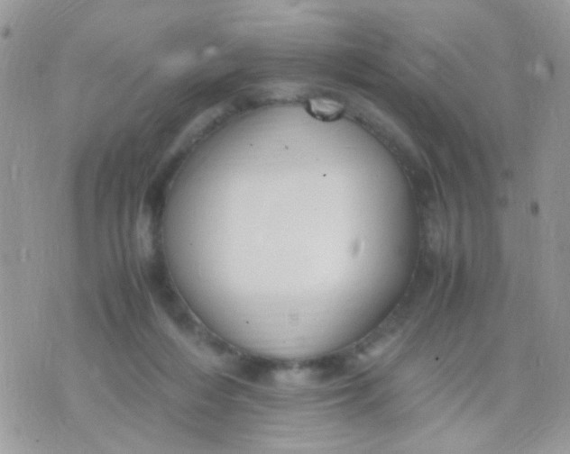 X0000071860216200607211925