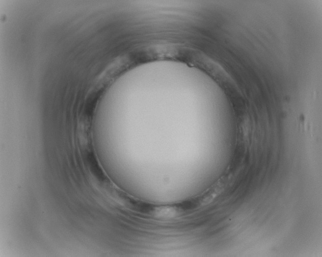 X0000071860218200607211925