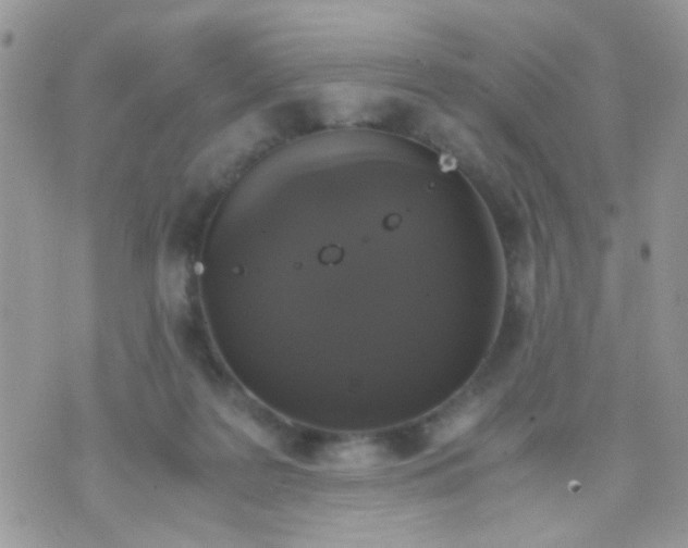 X0000071860219200607211925