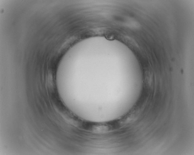 X0000071860220200607211925